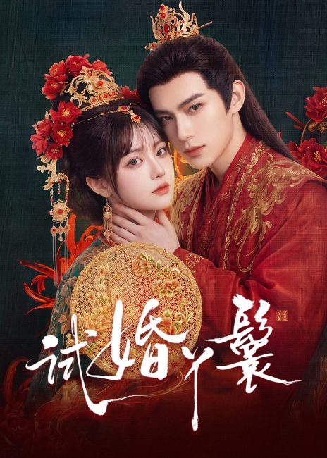 مشاهدة مسلسل خادمة المحاكمة The Trial Handmaiden الحلقة 10 مترجمة